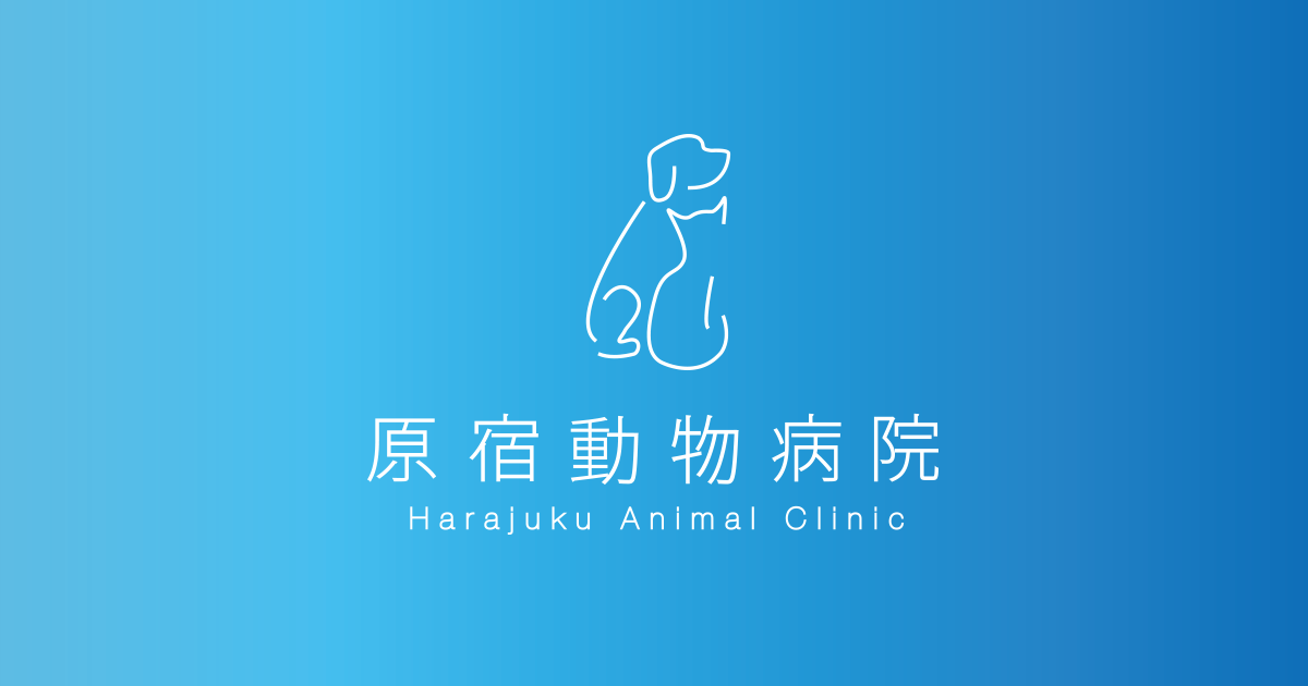 原宿動物病院 公式サイト